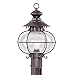 Livex Lighting 2224-07 Outdoor Post with Hand Blown Clear Glass Shades, Bronze