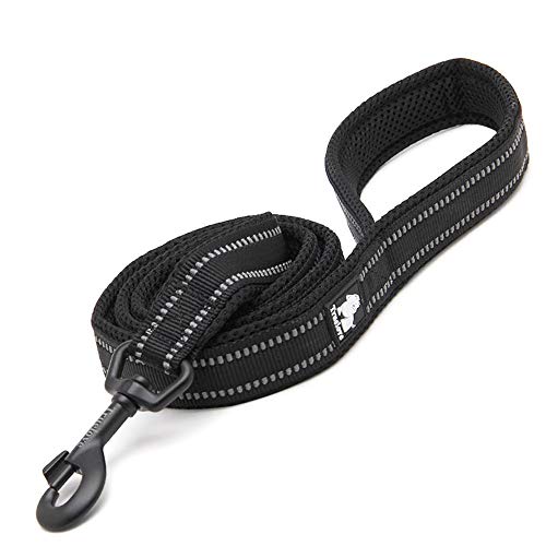 Laisse pour chien réfléchissante en nylon noir 200 cm L sécurité nuit