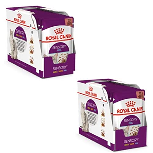 Royal Canin Sensory Smell Taste Feel Multibox | Doppelpack | 2 x 12 x 85 g | Alleinfuttermittel für ausgewachsene Katzen | Kann die Sinne der Katze anregen | Stückchen in Soße