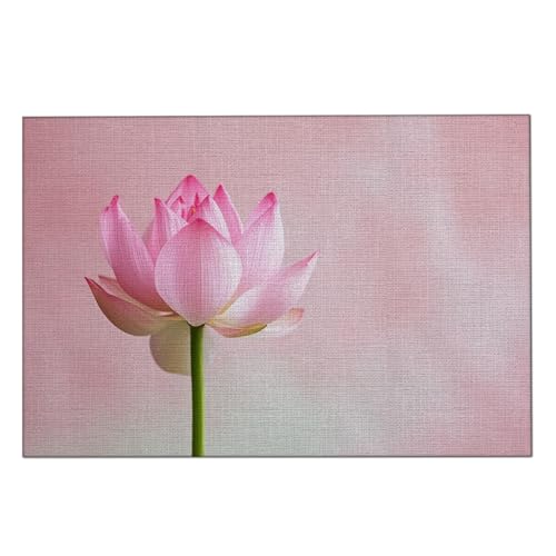 Manteles Individuales Loto Rosado Mantel Individual Tela Lino Individuales para Mesa 30x45cm Manteles Individuales Lavables Resistente Calor Salvamanteles Engrosar 2 Pcs