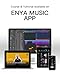 Enya Electric Guitar Inspire 39