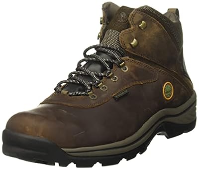 Timberland White Ledge Men's Waterproof Boot,Dark Brown,13 M US