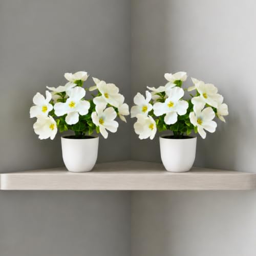 Image of fancymart Artificial Real Touch Flower Plant with Pot (Pack of 2), 16 cm Height, Decorative Faux Floral Plant for Home, Office, Living Room, Bedroom, Table & Shelf Decor