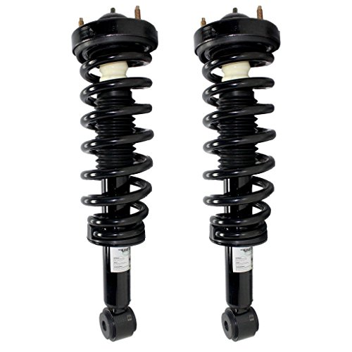 Detroit Axle - Front - Both (2) New Front Driver and Passenger Side Complete Strut & Spring Assembly - 2009-2013 Ford F-150 2WD - Front
