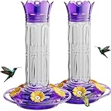birdream hummingbird feeders for outdoors hanging 20 ounces 10 feeding ports 2 pack plastic humming bird feeder with ant moat brush leak proof purple