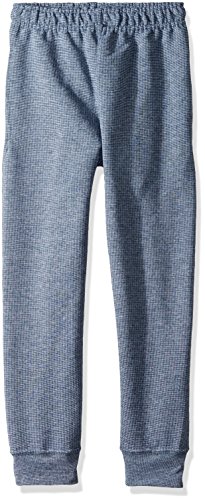 Image of Fruit of the Loom Boys' Explorer Fleece Collection, Joggers-Blue Stripe, X-Small