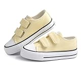 ANTLULU Boys and Girls Canvas Shoes Dual Adjustable Hook and Loop Classic Low Top Kids Sneakers