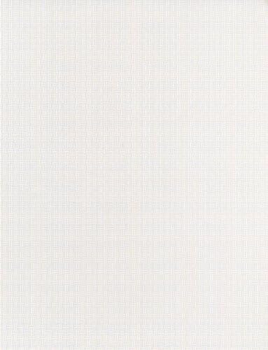 Tan 8-1/2x11-24lb Basketweave Security Paper 500/pkg