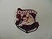 Patch Military Coyotes C Company 2-4 Aviation