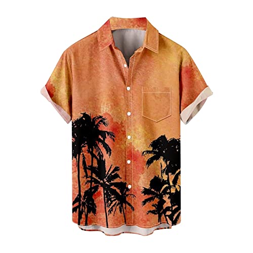 Chemises pour hommes habillées tee shirt sport coupe regular fit