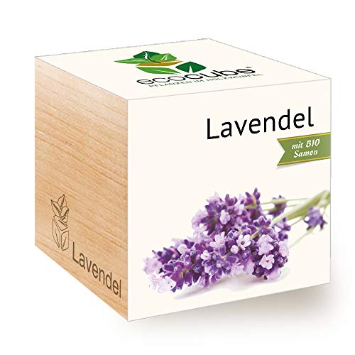 Feel Green Ecocube Lavendel, Bio Samen, Nachhaltige Geschenkidee (100% Eco Friendly), Grow Your Own/Anzuchtset, Pflanzen Im Holzwürfel, Made in Austria