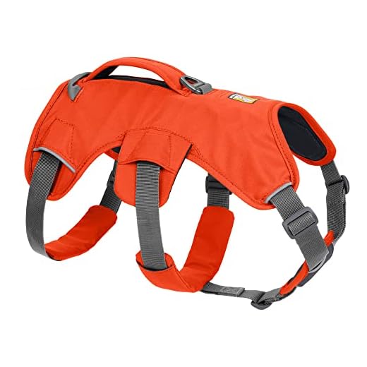 Ruffwear, Web Master, Multi-Use Support Dog Harness, Hiking and Trail Running, Service and Working, Everyday Wear, Blaze Orange, Large/X-Large