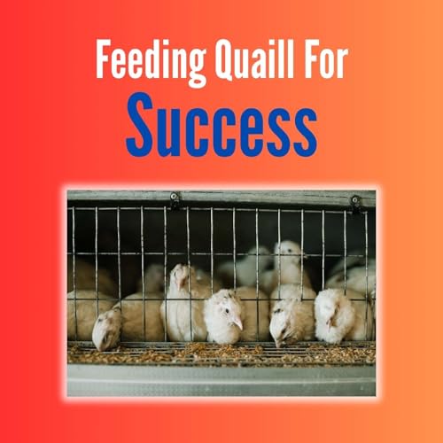 Feeding Quail For Success Podcast Por  arte de portada
