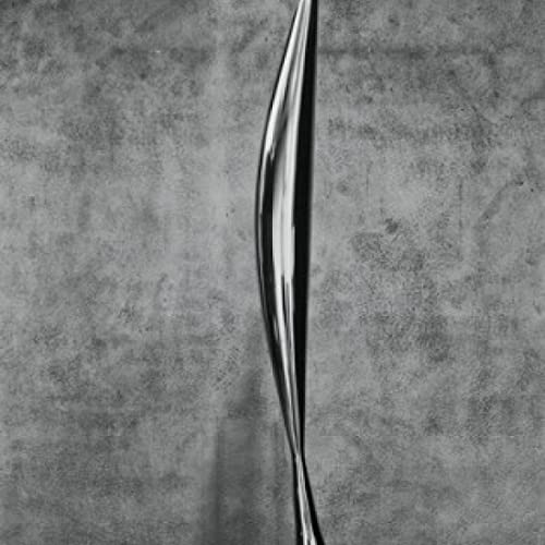 Posterazzi Bird In Space 1919 Constantin Brancusi Bronze Museum of Modern Art New York City Poster Print, (8 x 10)