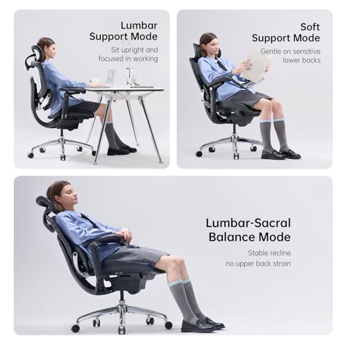 Image of SIHOO Doro C300 Pro V2 Ergonomic Office Chair Without Footrest, Full-Body Adaptive Support, 8D Armrests & Breathable Mesh, Comfy High Back Computer Desk Chair for Long Hours, 135 Recline (Black)