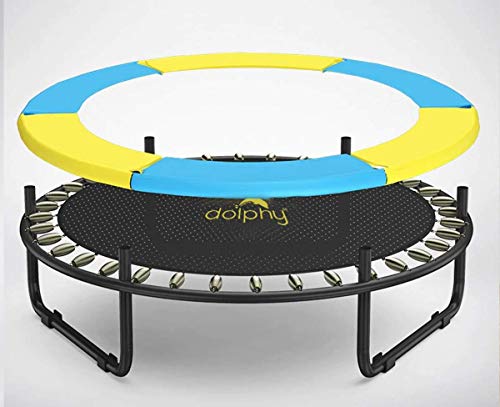 Image of Dolphy 60 Inch Trampoline for Kids with Safety Net and Steel Foam U Handle| Indoor & Outdoor | Powerful Loading Capacity - 100KG | Stainless Steel Frame & Legs for Home, School