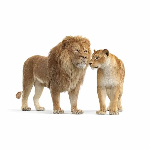 Tableaux muraux deux lions pour habiller un grand mur vide de salon moderne 70x100cm