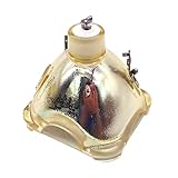 LIMINGHUA Lampe de projecteur for Ba RCO R9841100 R9842760 IQ 300 G300 R300