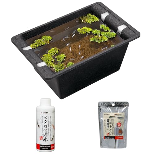 スドー 初心者向け メダカ 飼育セット 屋外 3点 8リットル 鉢 水槽 カルキ抜き 餌 稚魚