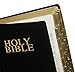 Tabbies Gold Bible Indexing Tabs, Old & New Testaments, 80 Tabs Including 64 Books & 16 Reference Tabs, Gold-Colored (58350)