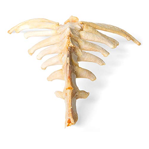 Image of 3B Scientific GmbH T30059 Horse Sternum
