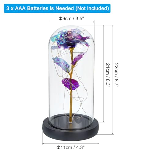 PATIKIL Roses Flower in Glass Dome - Image 2