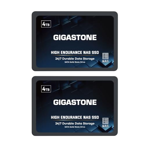 Image of Gigastone 4TB High Endurance SSD (2-Pack) Up to 530MB /s SLC Caching 24 /7 Reliable for Gaming /PC /NAS SSD 5-Year Warranty 2.5 inch SATA Internal Solid State Drives RAID Disk