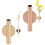 CHICPICK Pack of 2 Wall Mounted Decorative Flower Vase Decor for Home, Removable Modern Hanging Bottle Free Punching Planters Air Plant Pots Hanging Plant Alloy Metal Holder