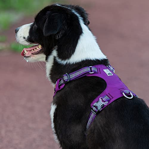WINHYEPET Harnais pour Chien, Antidéflagrant et Imperméable(Violet,S)