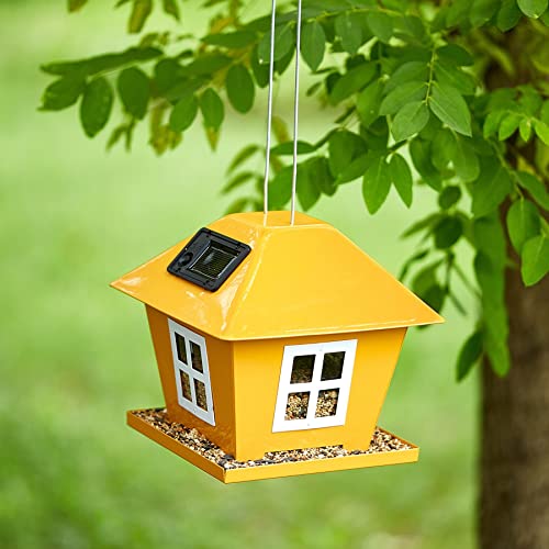 Solar Bird House Feeder