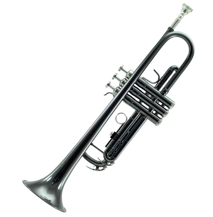 Sky Bb Trumpet with Case, Cloth, Gloves, and Valve Oil, Guarantee (Black Nickel)