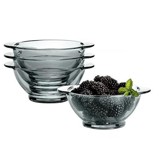 STP GOODS Glass Dinner Plates Set of 4 – Borosilicate Salad & Soup Plates, Transparent Glass Serving Plates for Pasta, Bread, Dessert & Appetizers, Dishwasher Safe Tableware