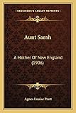  Aunt Sarah: A Mother Of New England (1906)