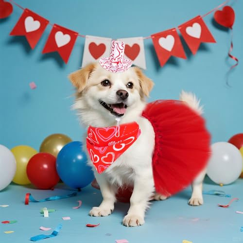Set de Disfraz para Perro Día de San Valentín 3 piezas miniatura 2