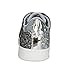 LUCKY STEP Glitter Shoes Sparkly Bling Shiny Bedazzled Lace up Fashion Sneakers for Women (7 B(M) US,Silver)