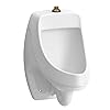 KOHLER 5452-Et-0 Dexter Wall-Mount 0.125 Gpf Urinal With Top Spud, One Size, White