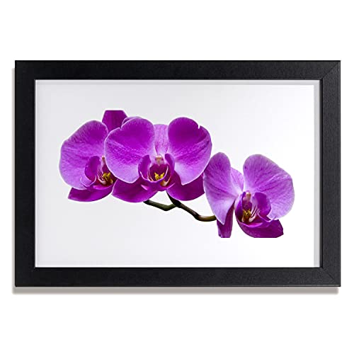 Photo 30x20 cm fleurs sur le mur avec cadre rigide pour embellir facilement une petite pièce