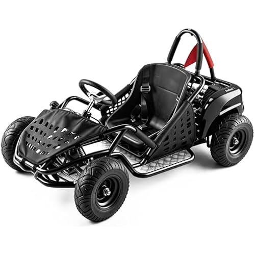 Electric Go Kart, 48V Powered Ride On Car, Steel Tubular Frame, Seat Belt, 13 inch All-Terrain Tires, Parental Speed Control (Black)