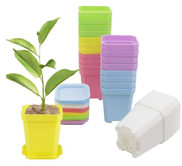 10 Pack of Small Plastic Plant Pots 6 Inch 6 Colors Planting Nursery