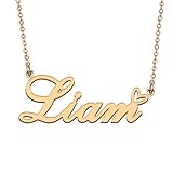 HUAN XUN Liam Name Necklaces for Women Stainless Steel Custom Name Necklaces Pendant Jewelry Gift for Christmas