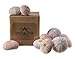 Sea Urchins Shells for Air Plants - 6 Pink & 6 Purple Sea Urchin Shells - Hanging Air Plant Holder - Air Plants Live Holders - Air Plant Pot - No Plants Included