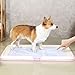SJJALAKAJA Dog Toilet Pet Training Tray Can Be Use with Urine Pads Easy to Clean Detachable Design Fixed Point Toilet Training Dogs Potty Suitable for Small Dogs Indoor and Outdoor Use(Blue)