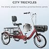 PA-DABAOO Folding Tricycle for Adults, 16 Inch 3 Wheel Bike, with Front And Rear Storage Baskets, City Riding Cruiser Bike, Load Capacity 200KG, Shopping Picnic Foldable Tricycles,Gray #2
