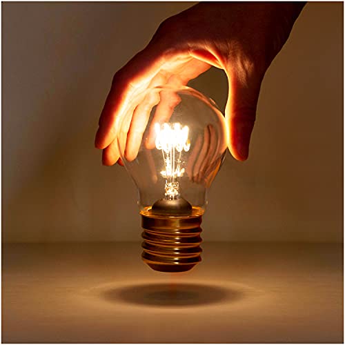 Suck UK Light Bulb USB Rechargeable LED Light | Table Lamp | Battery Operated Mood Lighting | Ambient Room Decor & Bedroom Decor | Cordless Filament Night Stand Night Light |