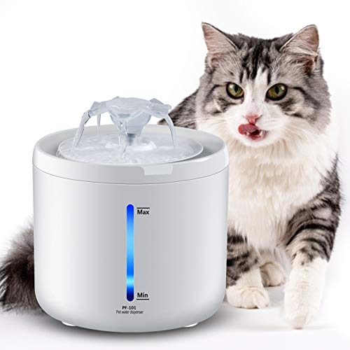 Top 10 Best Battery Operated Cat Fountain of 2021 Review Best Pet Pro