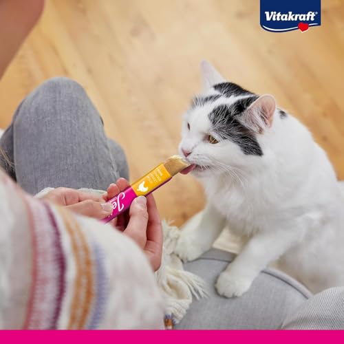 Vitakraft Jelly Lovers, Katzen Leckerli, Gelé Katzensnack mit Huhn und Pute, einzelne Sticks, ohne Zusatz von Zucker (1 Paket mit 6X 15g)