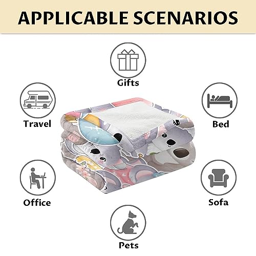 Koala Blanket Gifts - 40"x50" Cute Throw for Women, Girls - Colorful Soft Fuzzy Blankets for Couch & Sofa