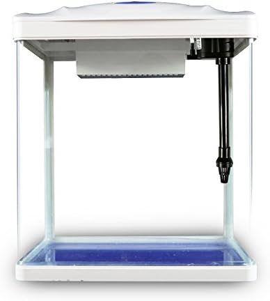 Pettix Glass Nano Fish Tank, 8. 8 Ltr (White)