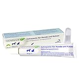 Dechra - Denticur RF² Zahnpasta für Hunde und Katzen mit Fingerzahnbürste 70g