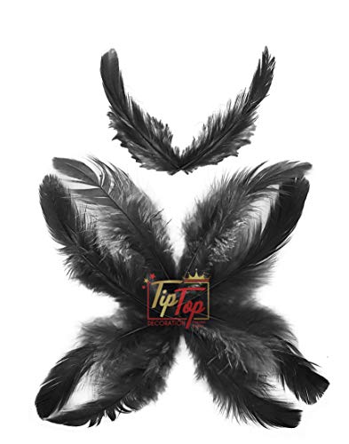 Image of TIPTOP DECORATION Natural Dyed Feathers 10 cm (80 pieces) (Black)